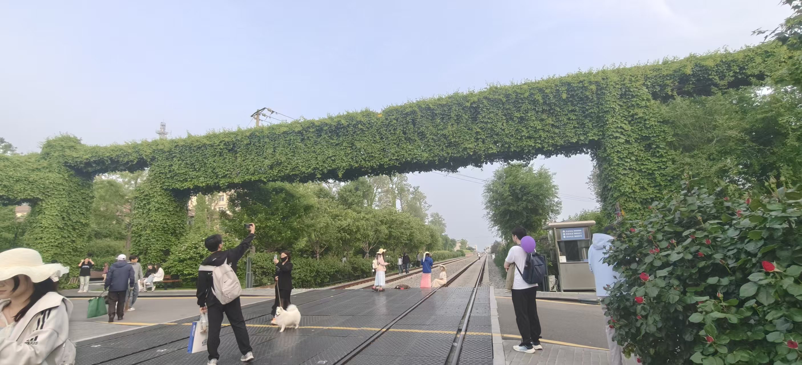 西港花园1